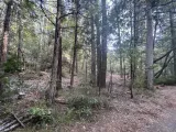 55 Stony Creek Trail