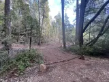 55 Stony Creek Trail