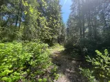 00 End of Valley View & Sierra Wood